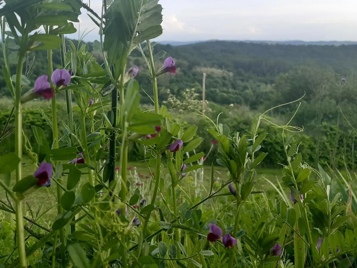 Bnb Ferme Beauregard Les Pyrenees Artigat