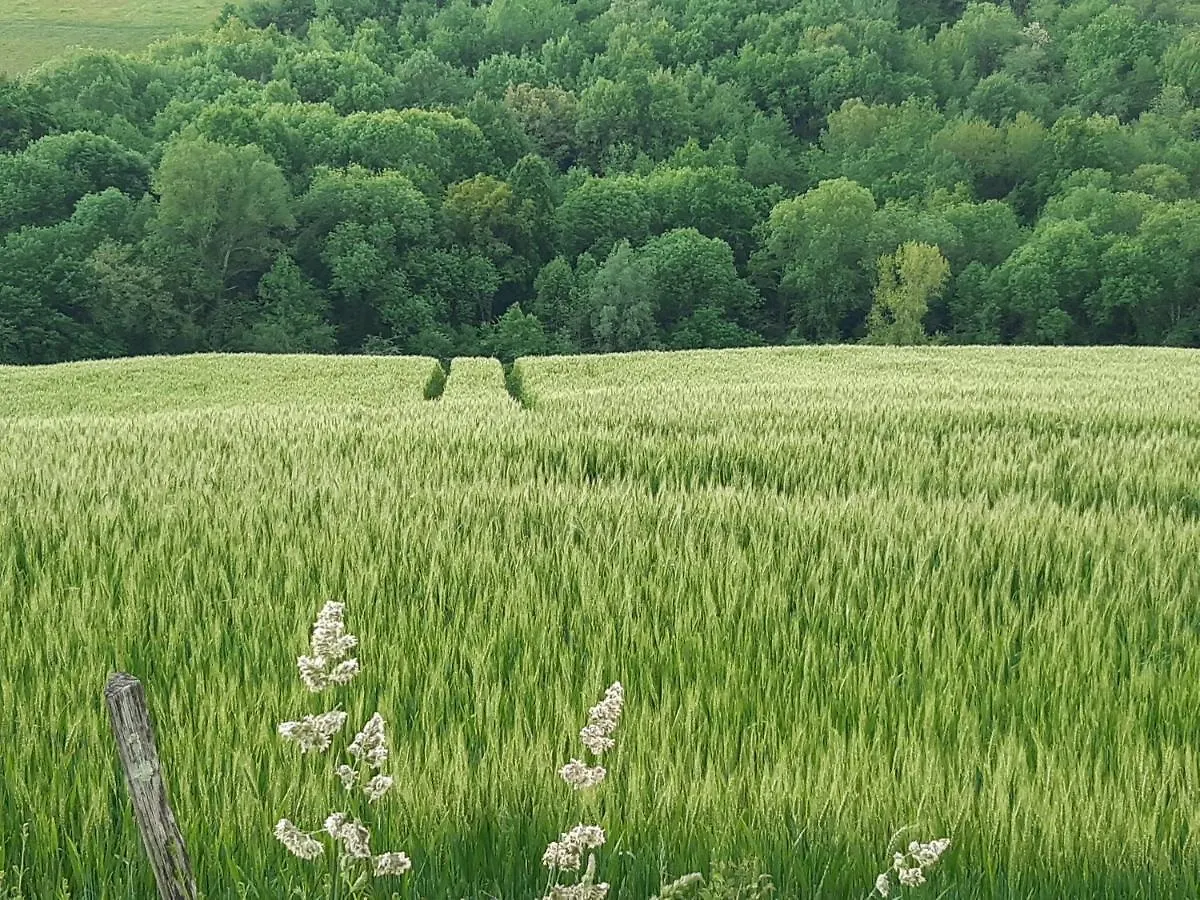 Bnb Ferme Beauregard Les Pyrenees Artigat