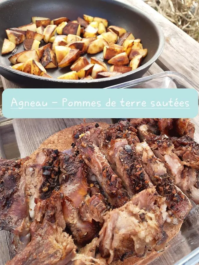 Bed & Breakfast Bnb Ferme Beauregard Les Pyrenees Artigat